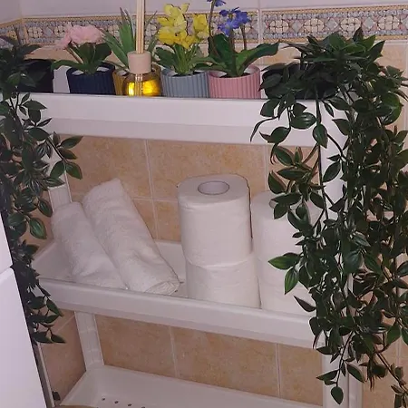 Lenia نيا بلاجيا